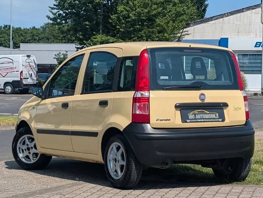 Gebraucht Fiat Panda Active 54 PS (39 kW) 2009 Mambo gelb (metallic) Kleinwagen