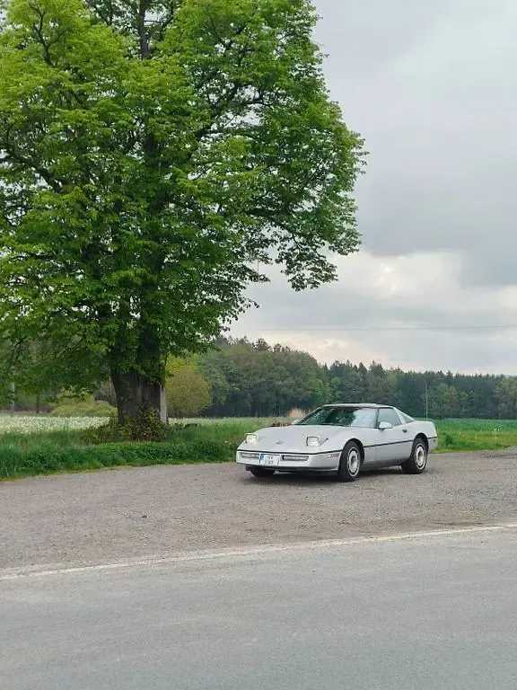 Gebraucht Corvette C4 243 PS (178 kW) 1986 Grau