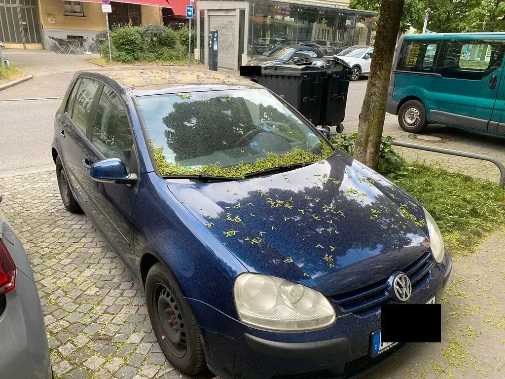 Gebraucht VW Golf V 75 PS (55 kW) 2005 Blau Kleinwagen