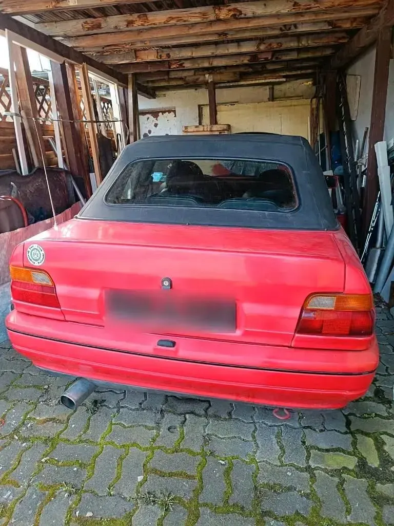 Gebraucht Ford Escort Cabriolet 105 PS (77 kW) 1992 Rot Cabrio
