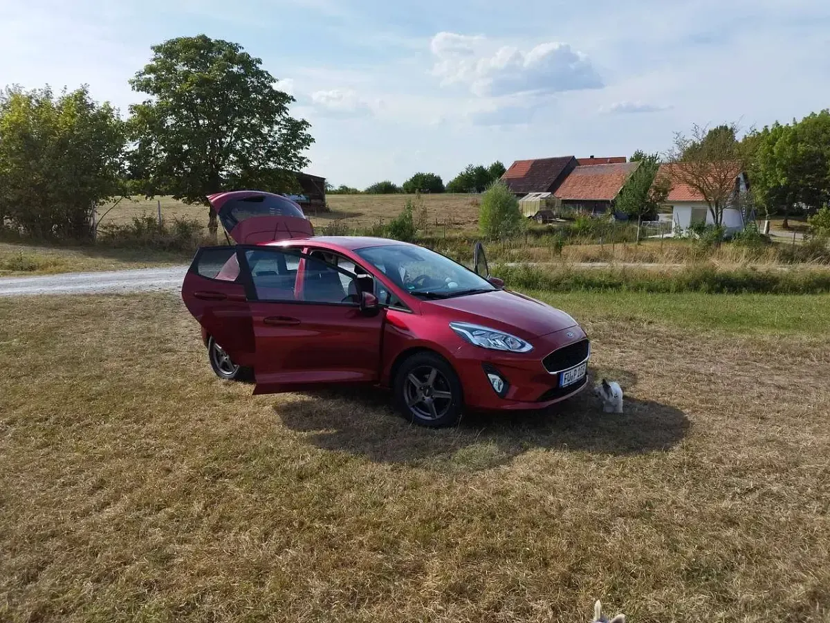 Gebraucht Ford Fiesta S 101 PS (74 kW) 2019 Rot Kleinwagen