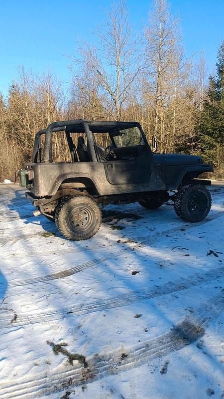 Gebraucht Jeep Wrangler 100 PS (73 kW) 1993 Grün SUV