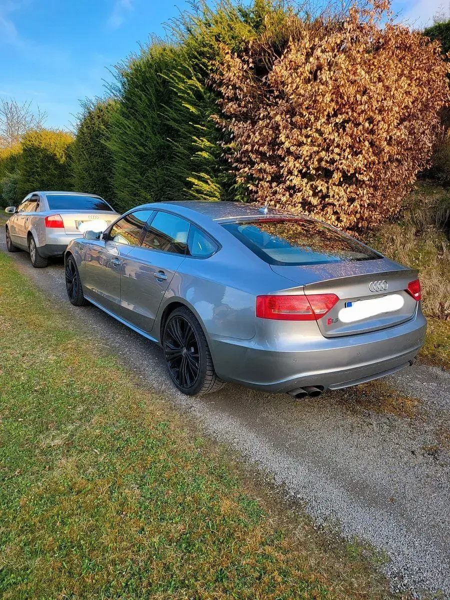 Gebraucht Audi S5 Sportback Sport 333 PS (244 kW) 2013 Kleinwagen