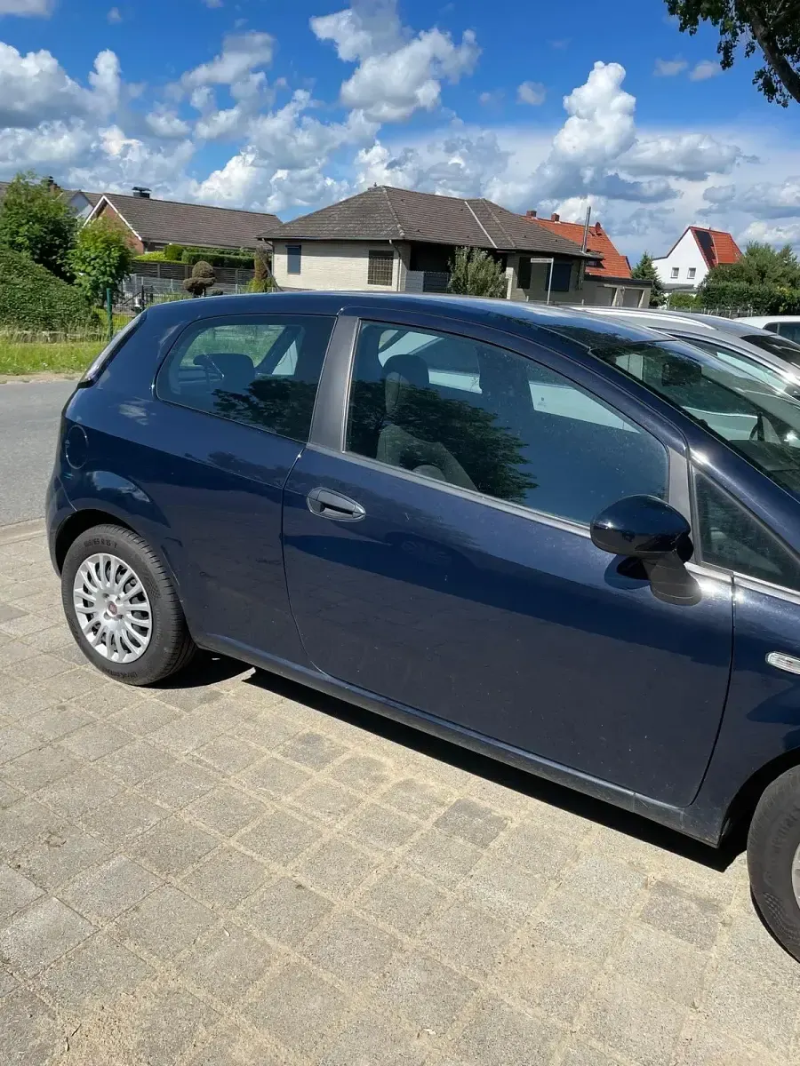 Gebraucht Fiat Punto 69 PS (50 kW) 2014 Blau Kleinwagen