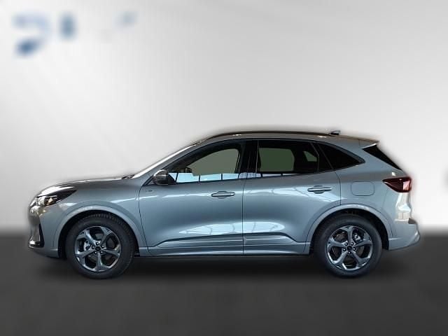 Gebraucht Ford Kuga ST-Line 151 PS (111 kW) 2024 SUV