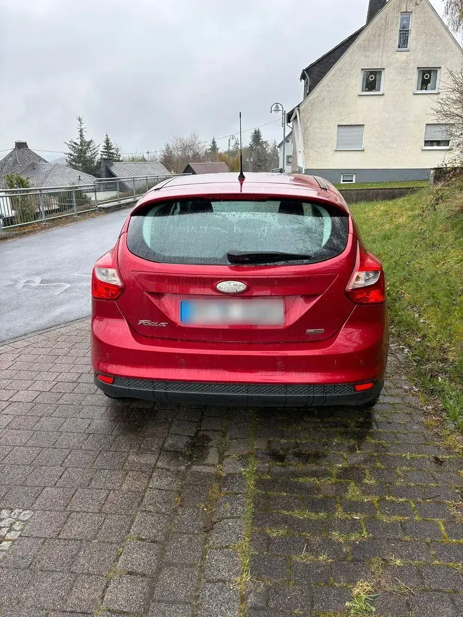 Usado Ford Focus Champions Edition 125 CV (91 kW) 2012 Rojo Berlina