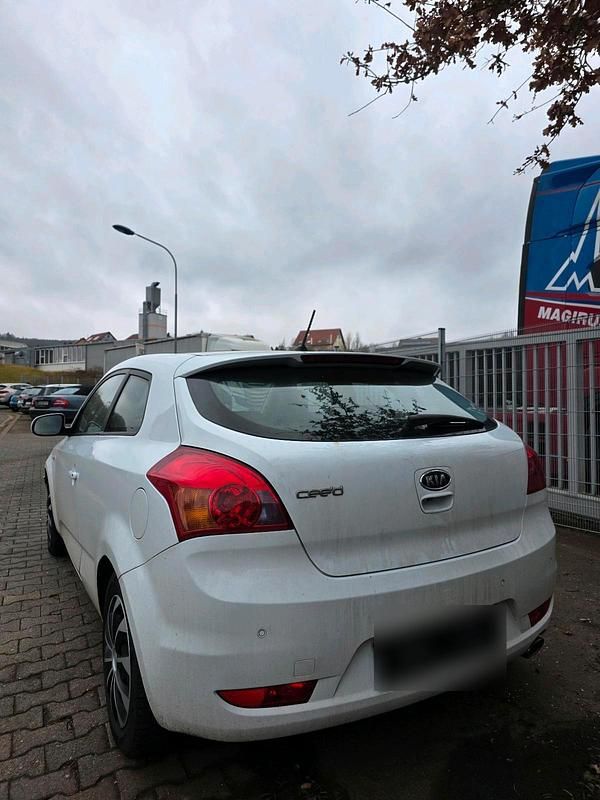 Gebraucht Kia Ceed 125 PS (91 kW) 2012 Weiß Kleinwagen