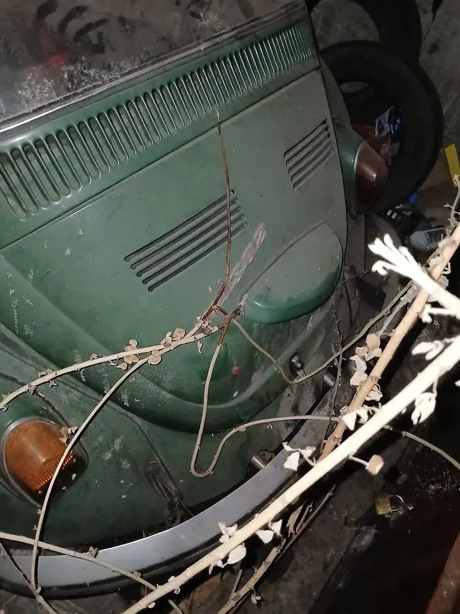 Gebraucht VW Beetle 60 PS (44 kW) 1970 Grün Kleinwagen