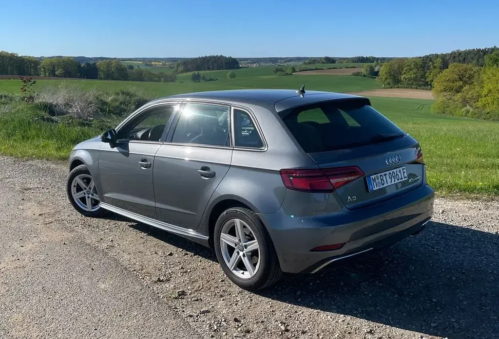 Gebraucht Audi e-tron 204 PS (150 kW) 2020 Grau SUV