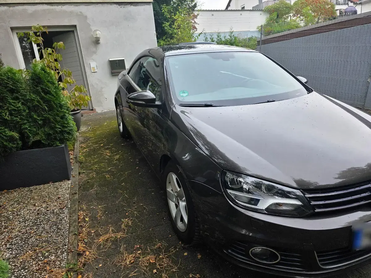 Gebraucht VW Eos 140 PS (102 kW) 2011 Braun Cabrio