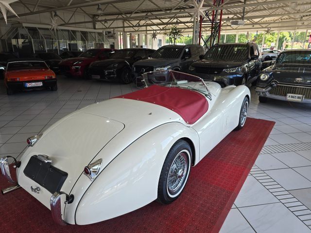 Weiss Gebraucht 1952 Jaguar XK Cabrio | 69.800 € - Bild 1/4