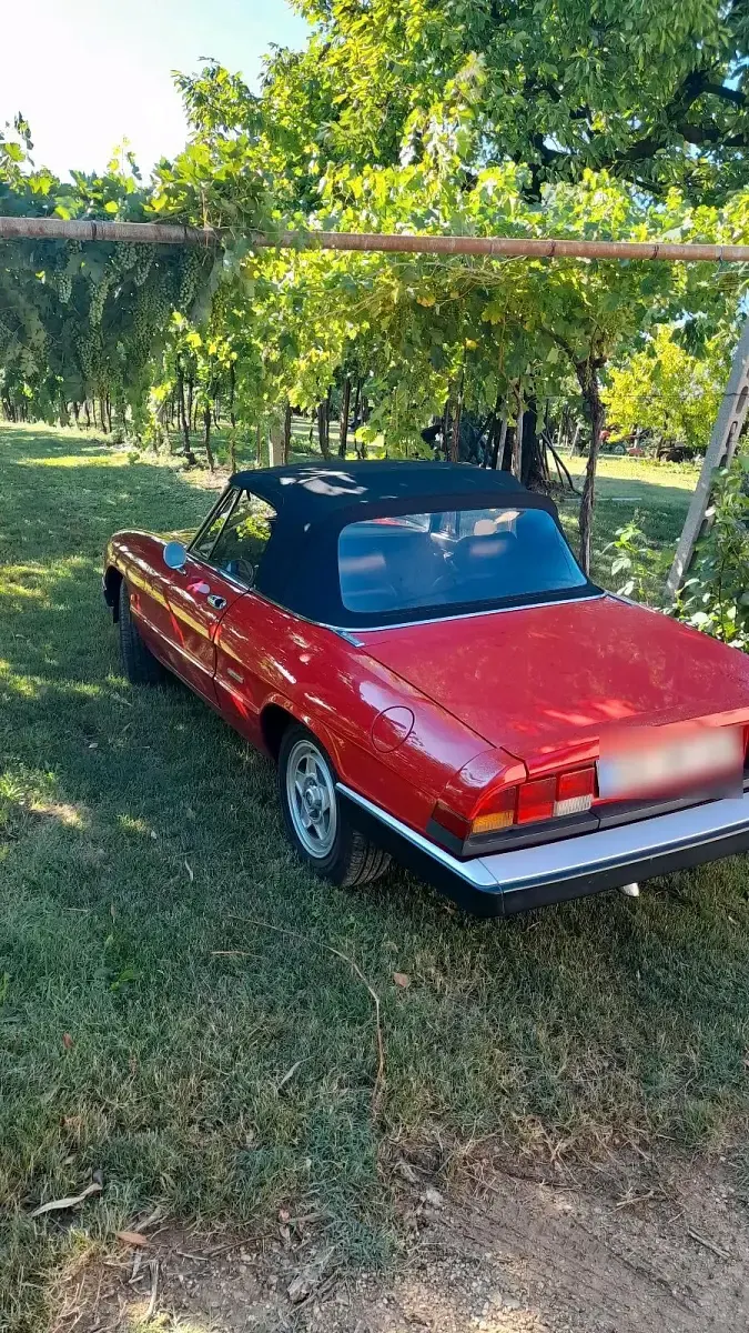 Gebraucht Alfa Romeo Spider 125 PS (91 kW) 1986 Rot Cabrio