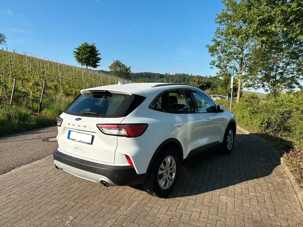 Usata Ford Kuga Cool & Connect 120 CV (88 kW) 2020 Bianco SUV