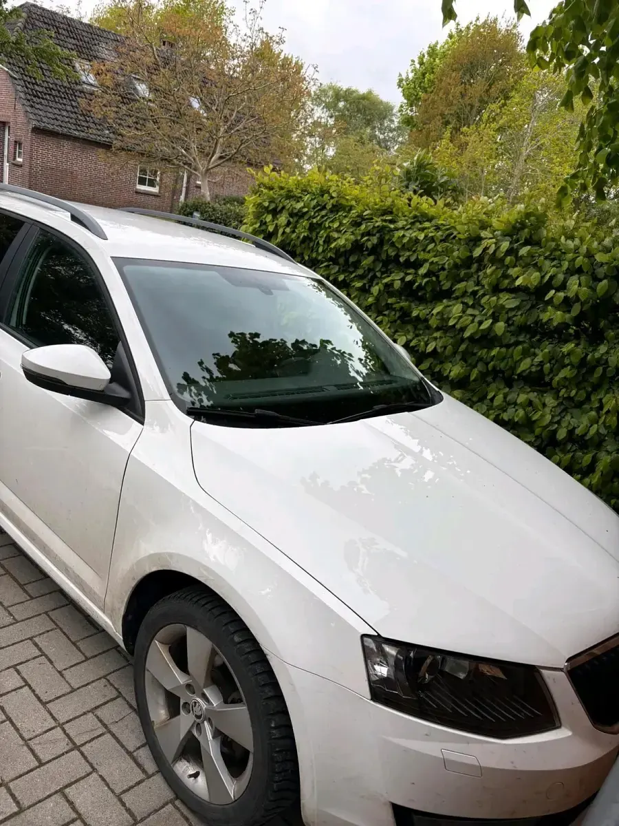 Gebraucht Skoda Octavia 150 PS (110 kW) 2014 Weiß Kombi