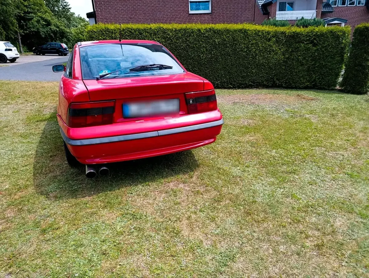 Gebraucht Opel Calibra 115 PS (84 kW) 1990 Rot Coupé