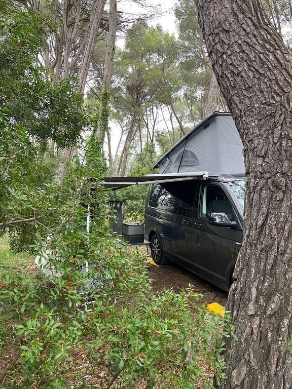 Gebraucht VW California California 204 PS (150 kW) 2018 Grau Van