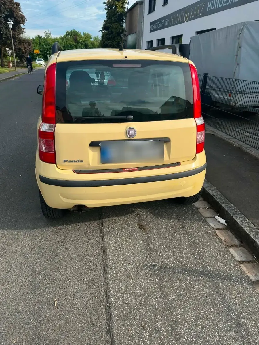 Occasion Fiat Panda 2009 Jaune Citadine