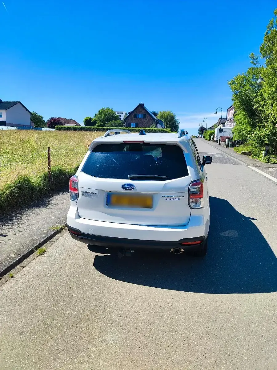Gebraucht Subaru Forester 136 PS (100 kW) 2019 SUV