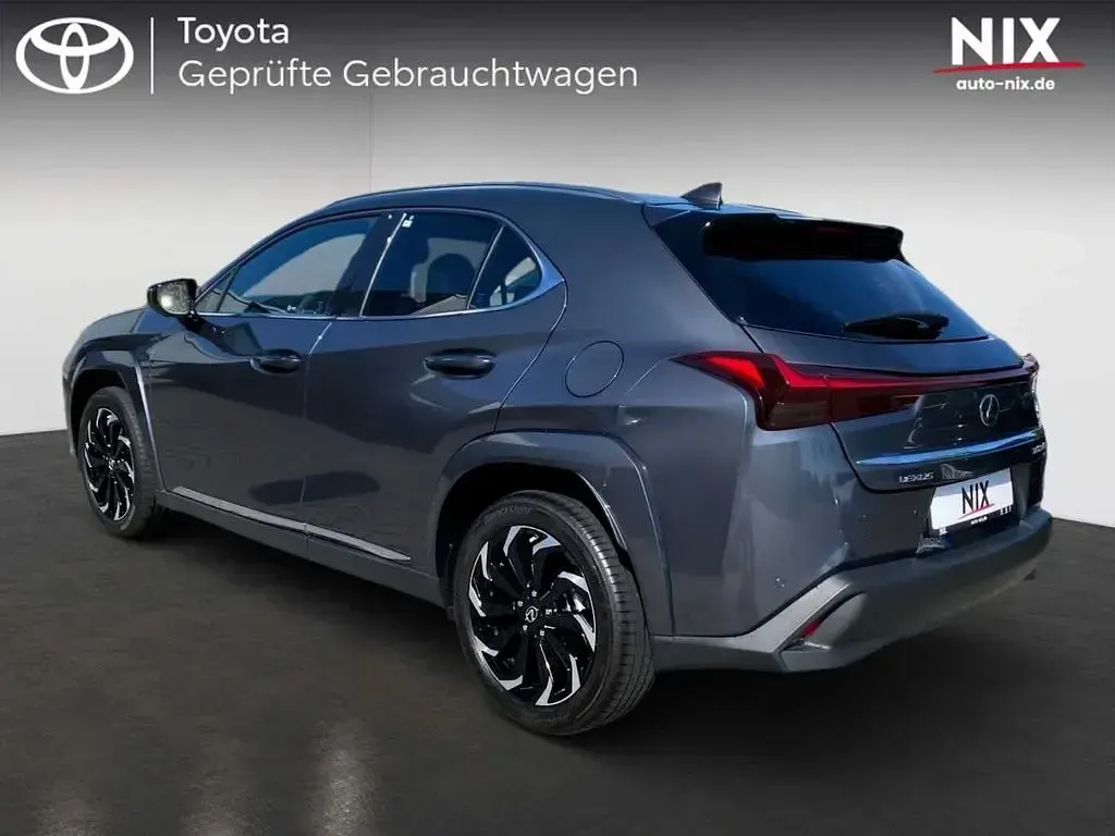 Gebraucht Lexus UX 250h Luxury Line 184 PS (135 kW) 2023 Grau SUV