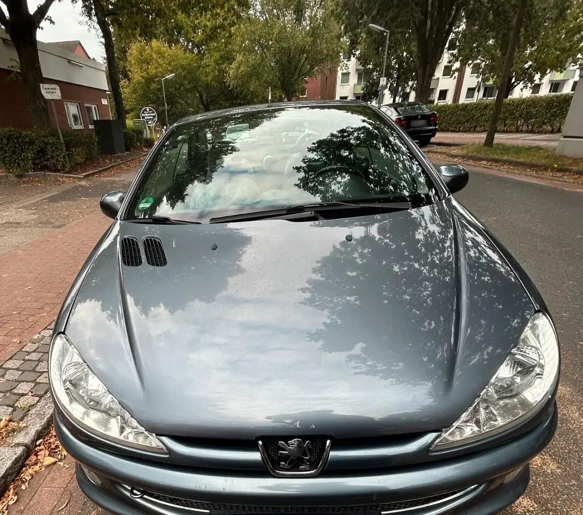 Używany Peugeot 206 109 KM (80 kW) 2007 Szary Kabriolet