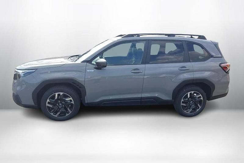 Nouvelle Subaru Forester Active 136 ch (100 kW) 2026 Gris SUV