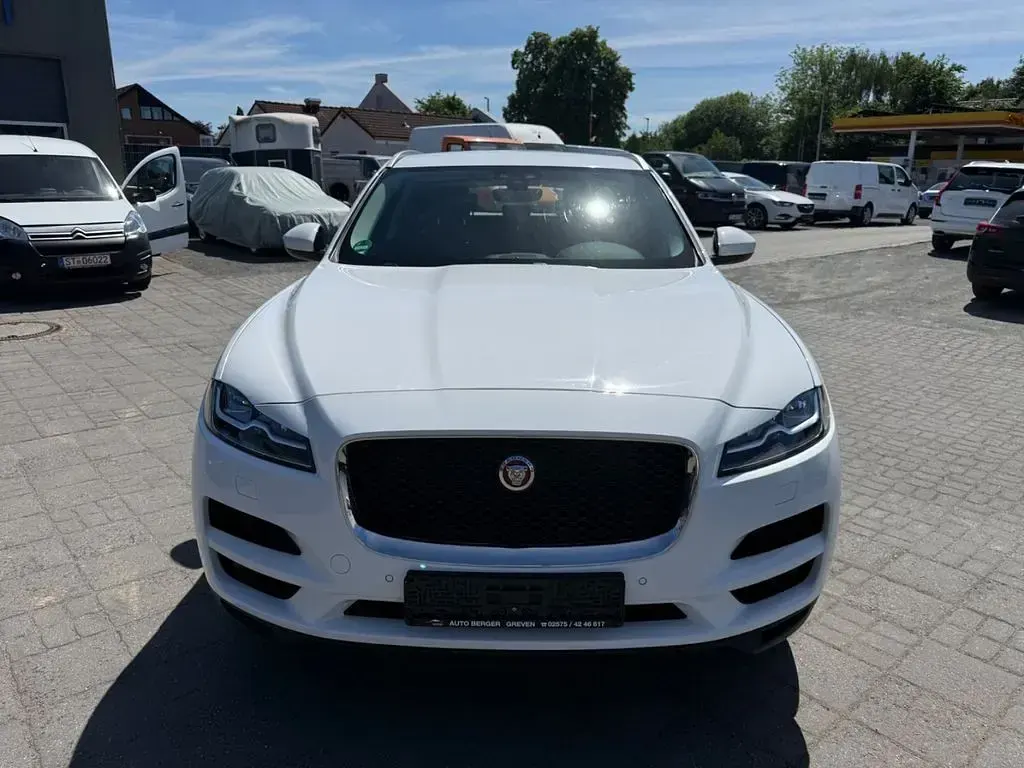 Gebraucht Jaguar F-Pace R-Sport 163 PS (119 kW) 2019 Weiß SUV
