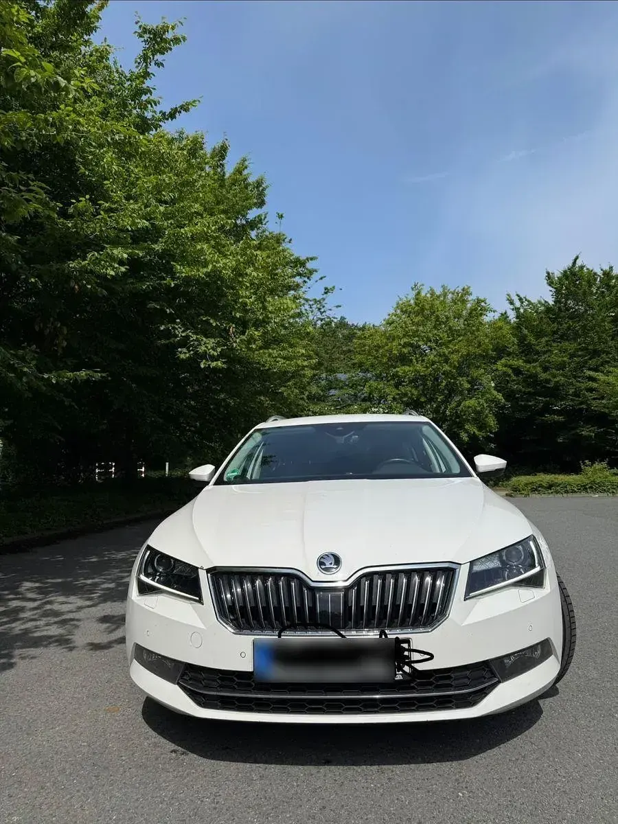 Gebraucht Skoda Superb 150 PS (110 kW) 2019 Weiß Kombi