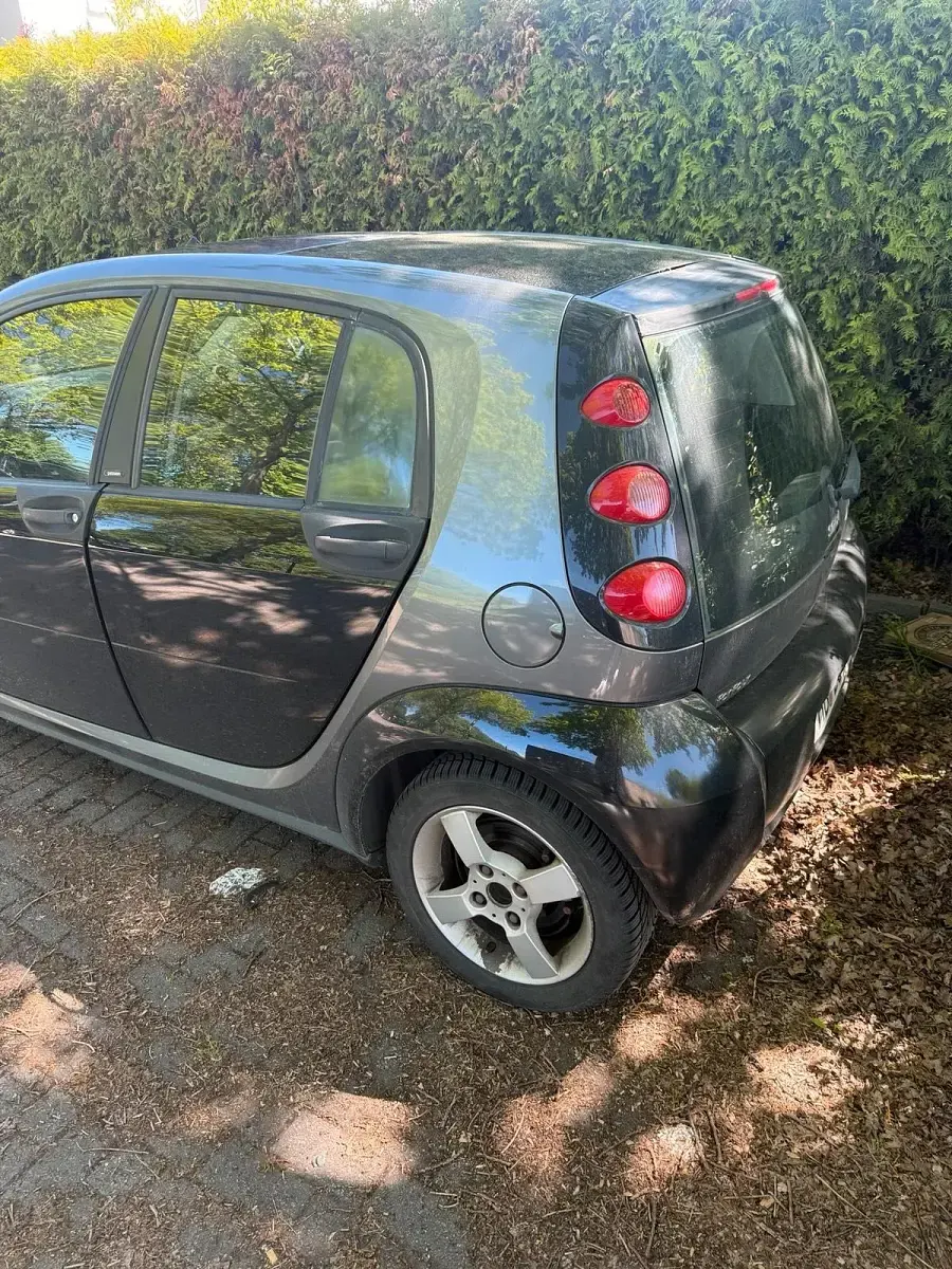 Occasion Smart ForFour 75 ch (55 kW) 2004 Argent Citadine