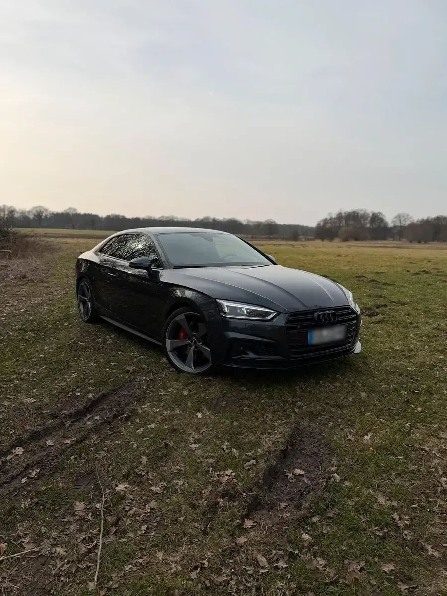 Gebraucht Audi S5 354 PS (260 kW) 2017 Grau Coupé