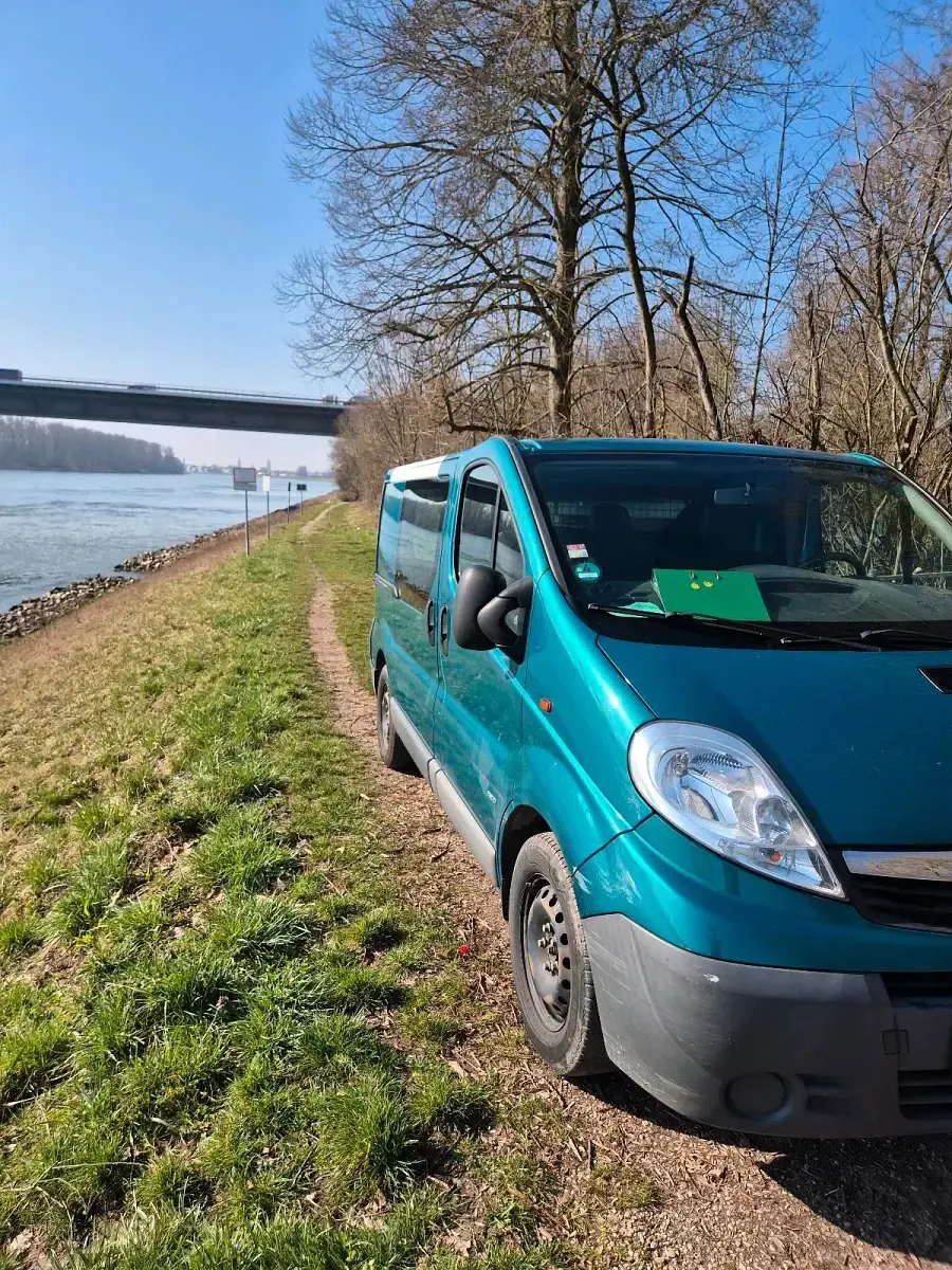 Gebraucht Opel Vivaro 114 PS (83 kW) 2013 Grün Van / Kleinbus