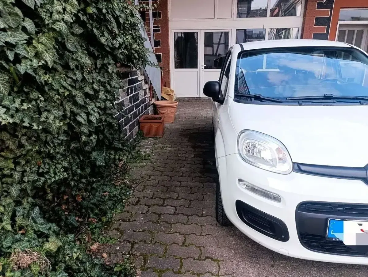 Gebraucht Fiat Panda 69 PS (50 kW) 2015 Weiß Kleinwagen