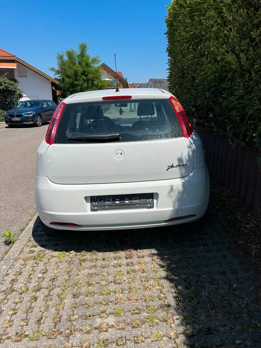 Gebraucht Fiat Punto 65 PS (47 kW) 2009 Weiß Kleinwagen