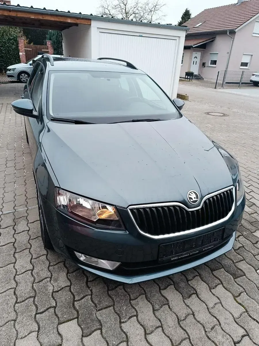 Gebraucht Skoda Octavia Ambition 105 PS (77 kW) 2015 Grau Kleinwagen