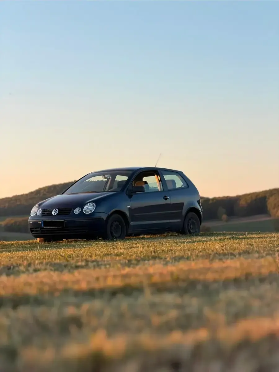 Gebraucht VW Polo 55 PS (40 kW) 2009 Blau Kleinwagen