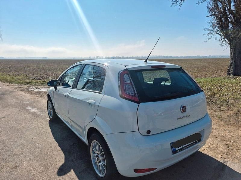 Gebraucht Fiat Punto 69 PS (50 kW) 2013 Weiß Kleinwagen