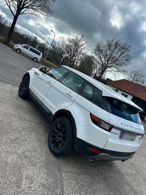Gebraucht Land Rover Range Rover evoque 150 PS (110 kW) 2016 Weiß SUV