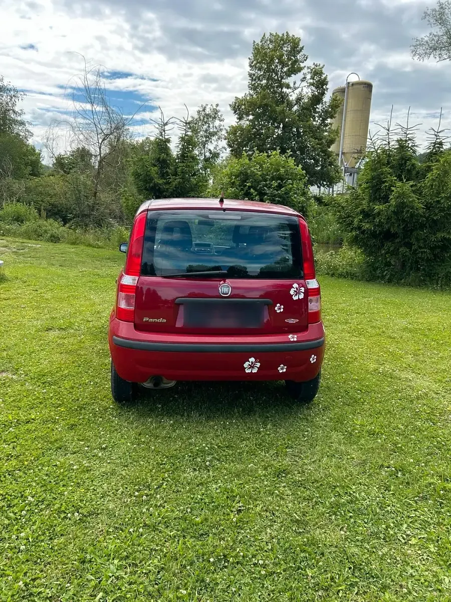 Gebraucht Fiat Panda 54 PS (39 kW) 2009 Rot Kleinwagen
