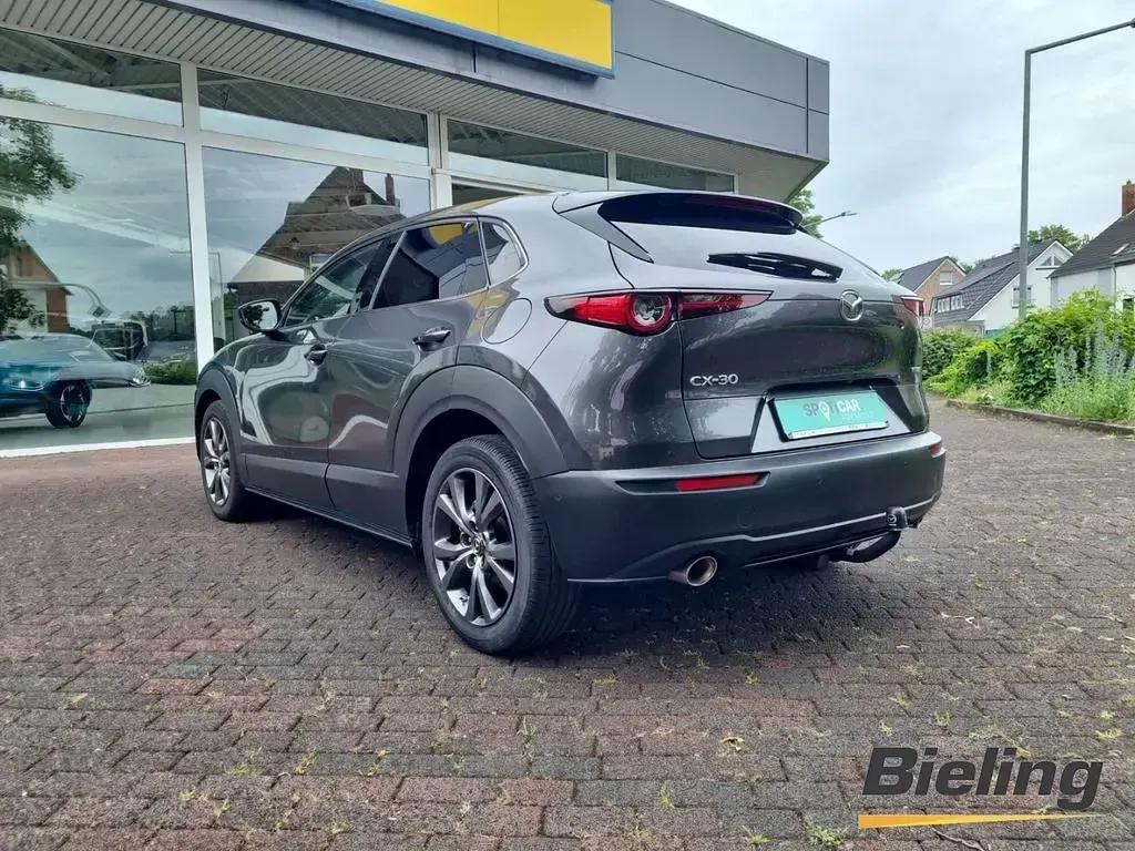 Gebraucht Mazda CX-30 Selection 179 PS (131 kW) 2020 Grau SUV