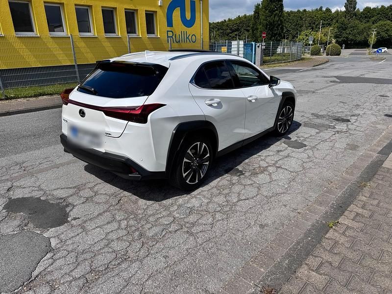 Gebraucht Lexus UX 250h Executive Line 184 PS (135 kW) 2022 Weiß SUV