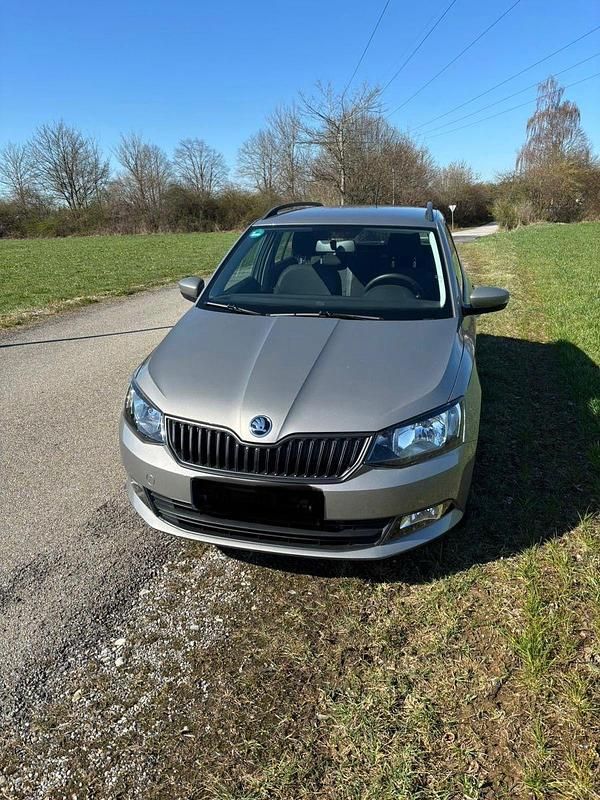 Gebraucht Skoda Fabia Cool Plus 75 PS (55 kW) 2018 Grau Kleinwagen