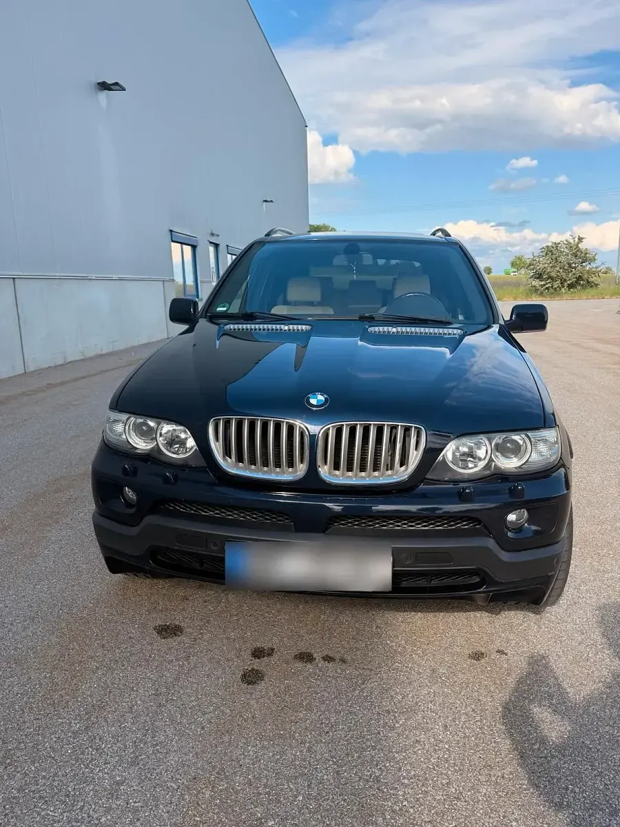 Gebraucht BMW X5 360 PS (264 kW) 2004 Blau SUV