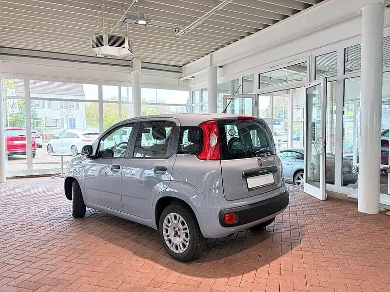 Gebraucht Fiat Panda Easy 69 PS (50 kW) 2020 Grau Kleinwagen