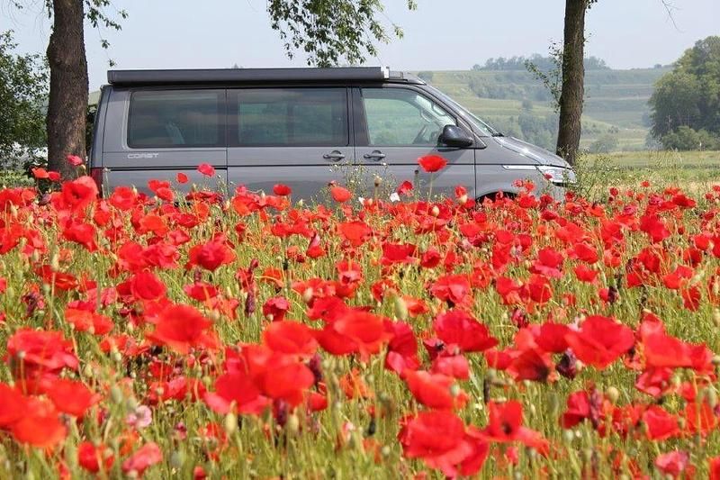 Grau Gebraucht 2023 VW California Edition Van | 56.600 € (Etwas zu teuer) - Bild 1/4