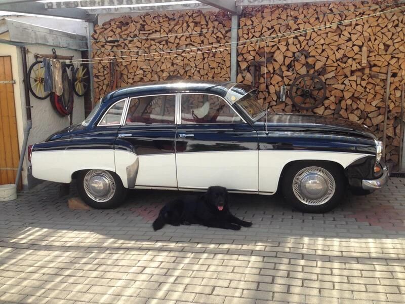 Andere außenfarben Gebraucht 1964 Wartburg 311 Limousine | 15.000 € - Bild 1/4