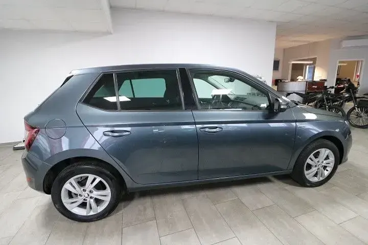 Gebraucht Skoda Fabia Ambition 110 PS (80 kW) 2020 Grau Kleinwagen