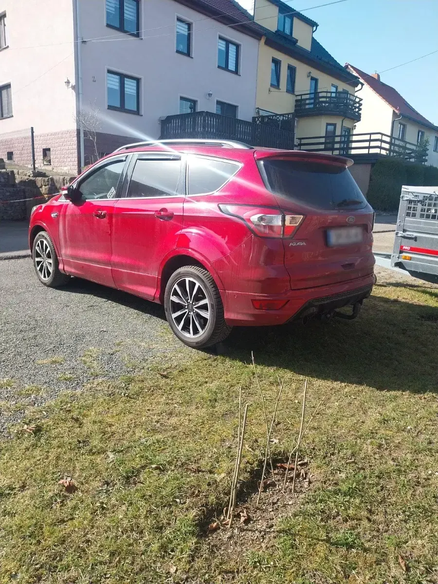 Gebraucht Ford Kuga ST-Line 150 PS (110 kW) 2018 Grün SUV