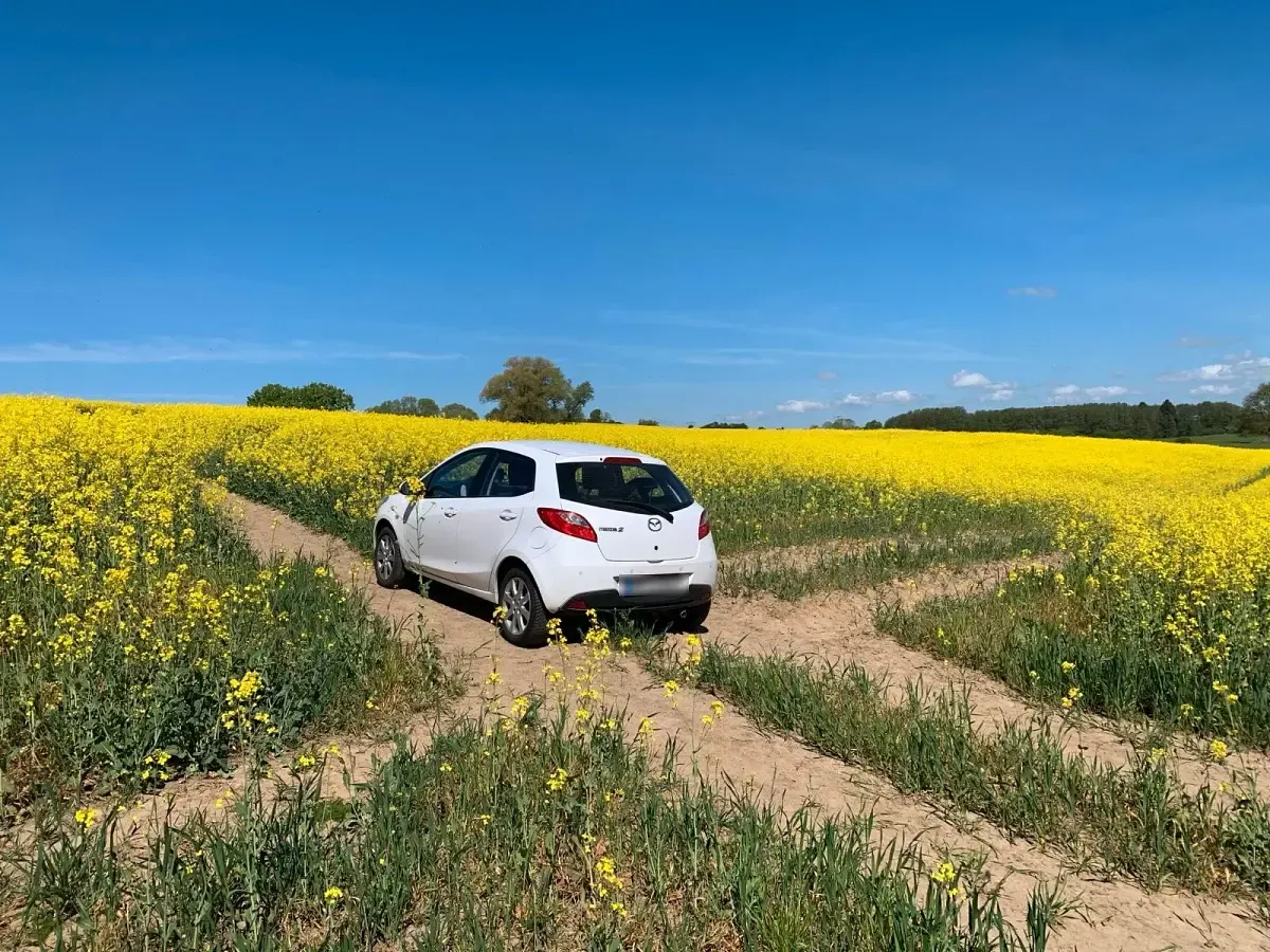 Gebraucht Mazda 2 75 PS (55 kW) 2011 Weiß Kleinwagen