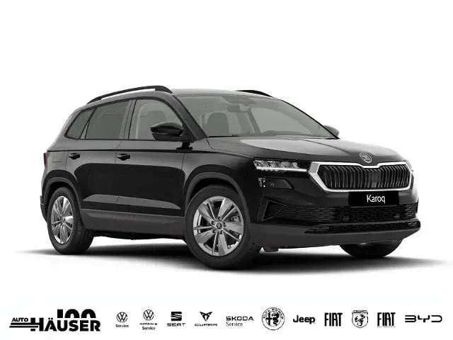 Gebraucht Skoda Karoq Selection 150 PS (110 kW) 2025 SUV