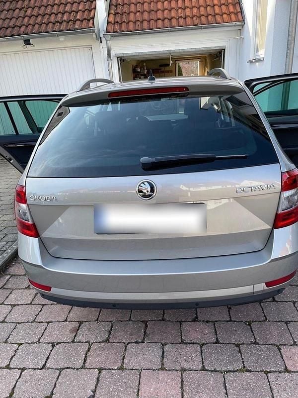 Gebraucht Skoda Octavia Style 116 PS (85 kW) 2019 Beige Kombi