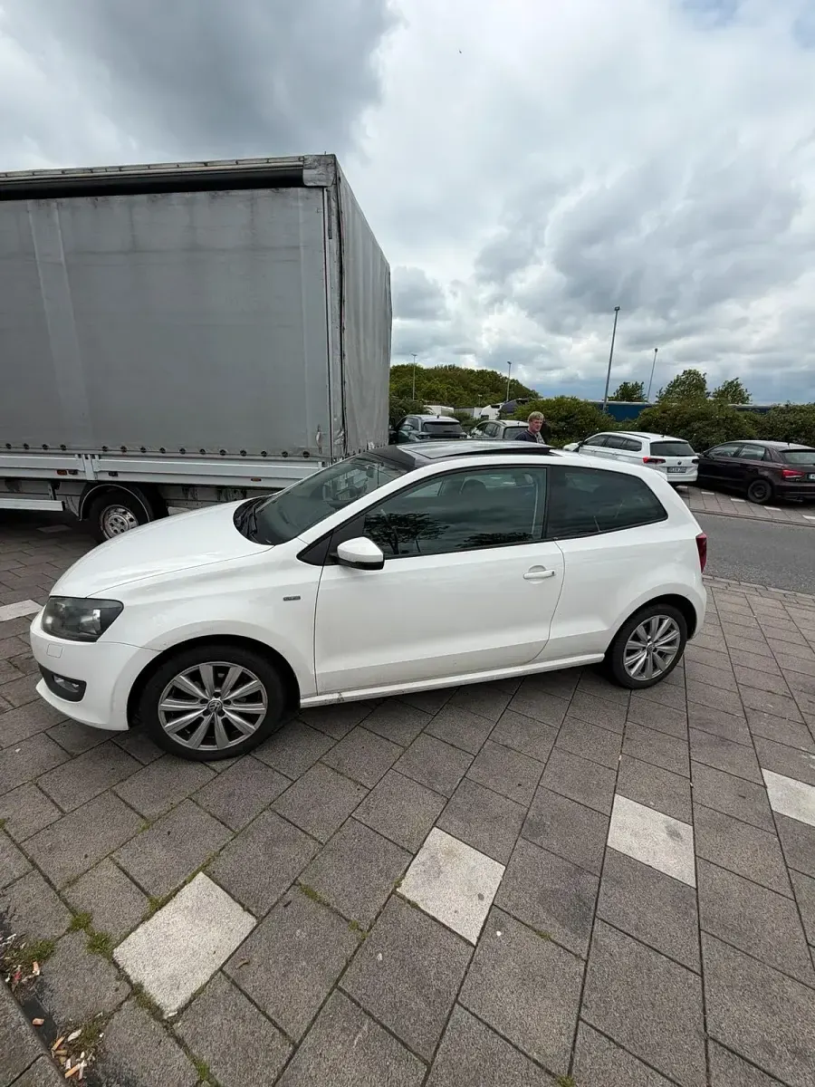 Usata VW Polo 90 CV (66 kW) 2013 Bianco Utilitaria